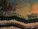 Accolade - Accolade                                                  (420) (neu)