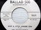 IMAGINATIONS doowop rock 45 WAIT A LITTLE LONGER SON / MAMA'S LITTLE BABY  FM551