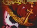 CYPRESS HILL - Stoned Raiders 2 x LP - SEALED 180 Gram Vinyl Album Import Record