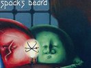 SPOCK'S BEARD - The Light 2 LP Exclusive Green Vinyl