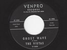 SURF GUITAR INSTRUMENTAL ROCKER- THE VISTAS- 