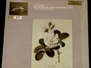 Rare* J.S. Bach - 6 Suites Unaccompanied Cello * Jean-Max Clement * UK Import EX