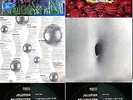 JELLYFISH-BELLY BUTTON LP UK 1994 VINYl 1st PRESS+INSERT