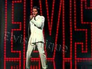 Elvis Presley - '68 TV Special Mint Original Japan LP