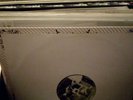 DJ Vinyl Auflösung 58 Mega Vinyls  (house,techno,electro,hiphop)