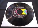 THE YOUNG HOLT TRIO - AIN'T THERE SOMETHING THAT MONEY CAN'T BUY  BRUNSWICK NM