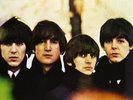 BEATLES For Sale LP VINYL European Emi 2012 14 Track Stereo Reissue Remastered
