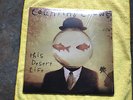 COUNTING CROWS.THIS DESERT LIFE. M-