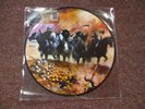 SAXON - DOGS OF WAR      PICTURE LTD OF 500