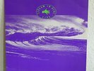 Midnight Oil – Scream In Blue Live (NL) Columbia 4714531
