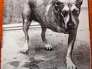 ALICE IN CHAINS - Alice in Chains S/T (1995) First Europe Pressing 2xLP Columbia