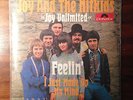 JOY AND THE HITKIDS HIT KIDS - Feelin´  PSYCH GARAGE MOD LE BEAT BESPOKE