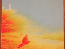 The Flaming Lips The Terror 2XLP Limited Silver Vinyl