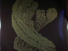 COOPER, Max - Emergence - Vinyl (gatefold 2xLP + booklet)