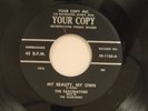 The Fascinators 45 MY BEAUTY MY OWN / DON'T GIVE IT AWAY Your Copy M-/VG++doowop