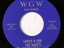 WERP'S: Love's A Fire / Shades Of Blue 45 Hear  Rock & Pop