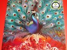 Opeth: Sorceress 2 LP Bi-Colored Vinyl Record Set 2016 Nuclear Blast Europe NEW