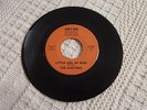 THE ELECTRAS  LITTLE GIRL OF MINE/MARY MARY  RUBY-DOO 2
