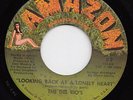 The DEL RIO'S lonely heart 45 savage FREAKBEAT mod PSYCH FUNK garage HEAR ?
