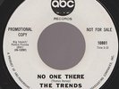 60s CHICAGO GROUP NORTHERN SOUL TRENDS NO ONE THERE + HOW I LIKE IT ABC DJ ORIG
