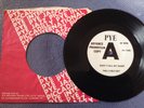 THE LIVELY SET - DON’T CALL MY NAME rare UK 1965 DEMO PROMO / BEAT / DANCER / EX