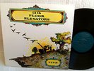 13TH FLOOR ELEVATORS 