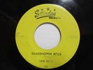 LINK DAVIS grasshopper rock / sixteen chicks 45 ROCKABILLY STARDAY ORIGINAL 1956