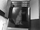 CAIFANES Vinyl boxset 2017 New reissue ships from USA  ON STOCK