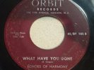 RARE DOO WOP R&B GOSPEL 45 by THE ECHOES OF HARMONY HEAR IT