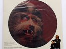 SEALED PICTURE DISC: WARREN ZEVON 