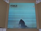 Foals: What Went Down Vinyl Boxset. Ltd Edition.