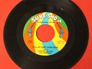 LITTLE MR. LEE & THE CHEROKEES 
