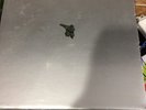 MF DOOM MADVILLAINY 2 MADLIB QUASIMOTO BOXSET  OOP STONES THROW HOLY GRAIL