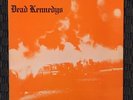 Dead Kennedys – Fresh Fruit For Rotting Vegetables - 1st IRS LP Vinyl POSTER
