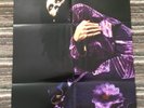 DEAD OR ALIVE PETE BURNS STUNNING POSTER YOUTHQUAKE 20