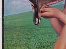 BLIND FAITH: Self Titled 