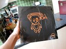 SUPER FURRY ANIMALS Out Spaced LP (1998) 1st Pressing With Booklet TEST PLAYED
