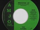 Sweet Soul/Funk 45 - Futures - Breaking Up - Amjo - mp3