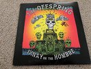 Offspring Ixnay on the Hombre LP  180 gm vinyl RE reissue