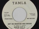 Northern Soul 45 - Marvin Gaye & Tammi Terrell - Ain't No Mountain -Tamla promo