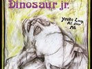 Dinosaur Jr.  - Youre Living All Over Me Vinyl LP Jagjaguwar NEU