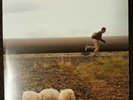 The Secret Life Of Walter Mitty 7