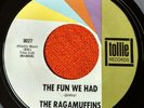 RAGAMUFFINS The Fun We Had surf fuzz garage Zekley Zekely Jan & Dean RARE M-