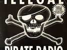 V/A - Illegal Pirate Radio (LP) (G/G)