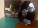Fleetwood Mac ?  Tango In The Night   Vinyl LP WX65 (1987)   EXCELLENT