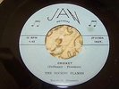 VERY RARE 60 GARAGE ROCKABILLY SURF THE ROCKIN FLAMES SHIM SHAM CRICKET UNPLAYED