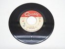 VRARE 1966 Garage Punk 