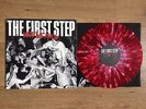 THE FIRST STEP What We Know S&F floorpunch go it alone chain of strength sxe