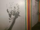 Pond ?– Hobo Rocket Vinyl LP NEW