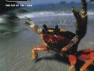 Fat Of The Land - Prodigy LP Vinile XLLP121 BB (XL REC.)